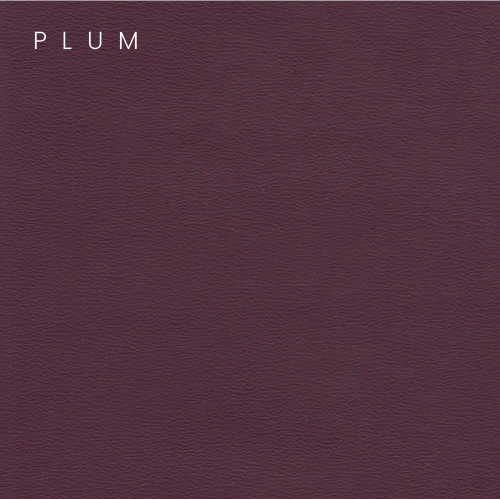 Pilates Vinyl Color Swatches