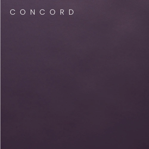 Vinyl Color Swatches