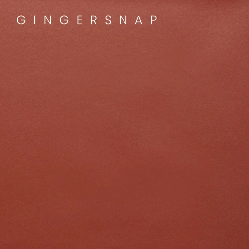 Vinyl Color Swatches